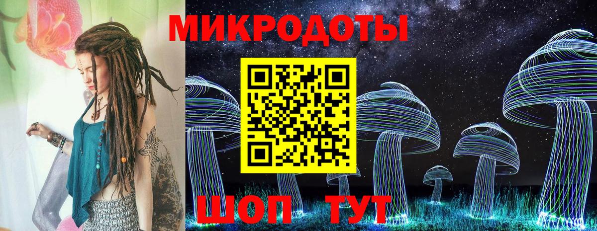 Псилоцибиновые грибы мицелий Новочеркасск